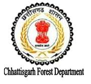 CG Forest